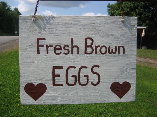 eggs 2.jpg