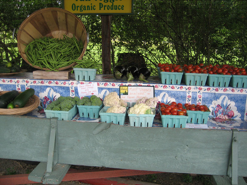 farm stand 2.jpg