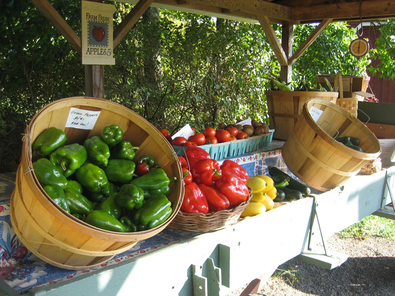 farm stand.jpg