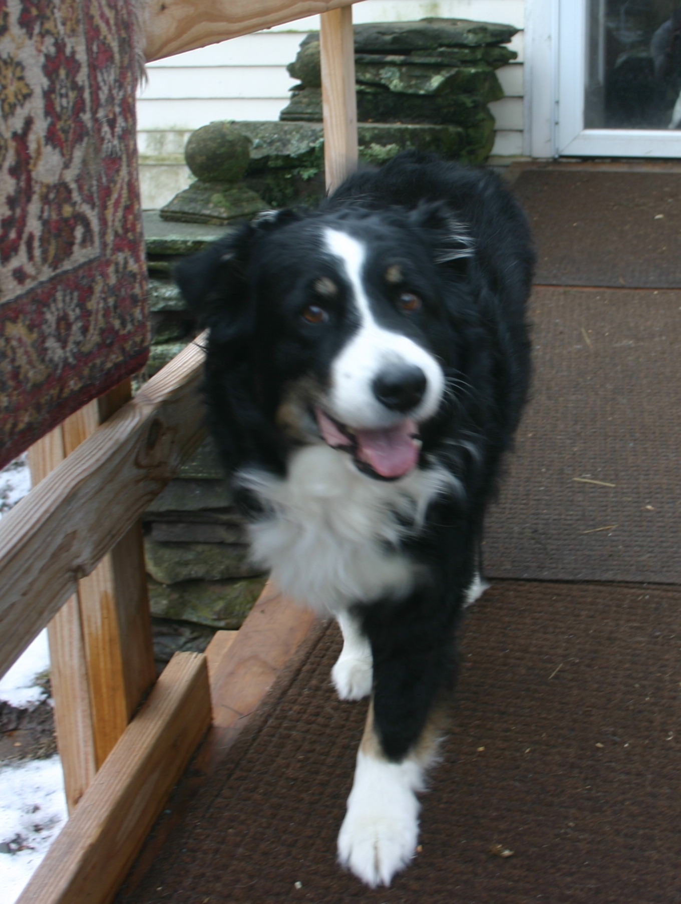 rocky5croppeda.JPG
