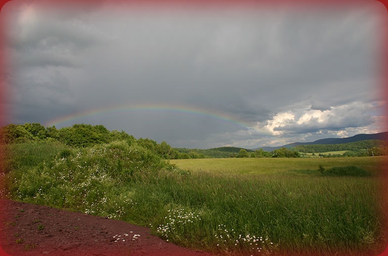 rainbow-min (2).jpg